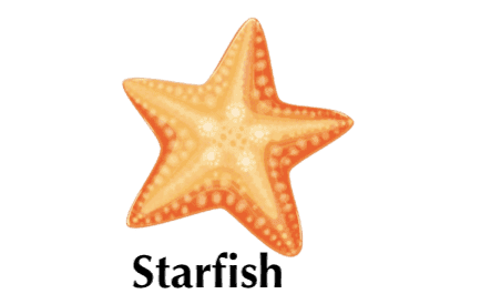 starfish